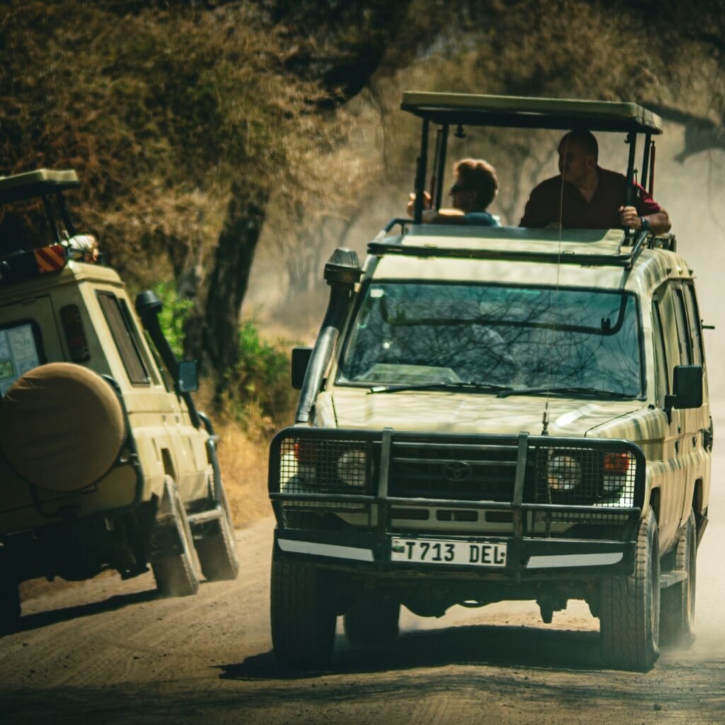 Best Time to Visit Tanzania